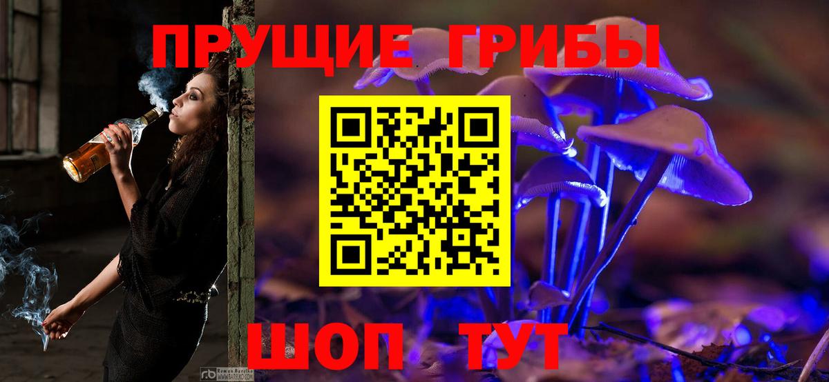 Псилоцибиновые грибы GOLDEN TEACHER Железногорск