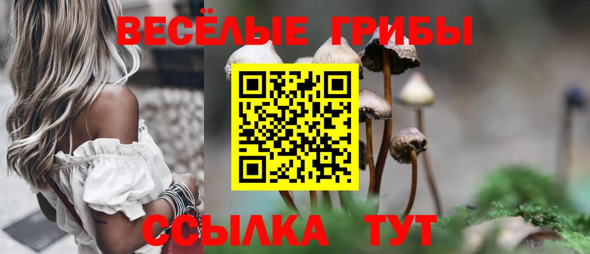 Галлюциногенные грибы MAGIC MUSHROOMS  Галлюциногенные грибы GOLDEN TEACHER  Железногорск  Вход с VPN 