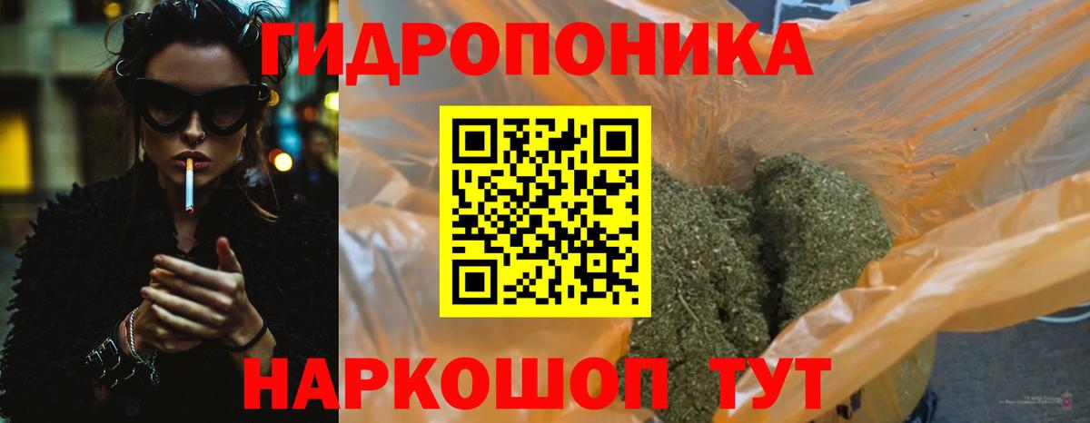 Бошки Шишки марихуана  Вход с VPN  Каннабис планчик  Железногорск  Конопля гибрид 